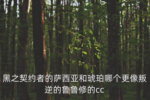 黑之契約者的薩西亞和琥珀哪個(gè)更像叛逆的魯魯修的cc