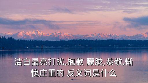 潔白晶亮打擾,抱歉 朦朧,恭敬,慚愧莊重的 反義詞是什么