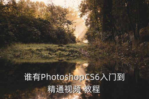 cs教程,掌握photoshopcs6視頻入門教程