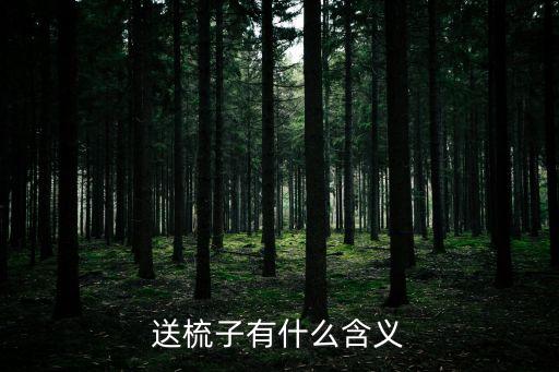 送梳子有什么含義