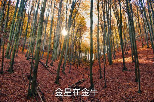金星金牛，金星在金牛