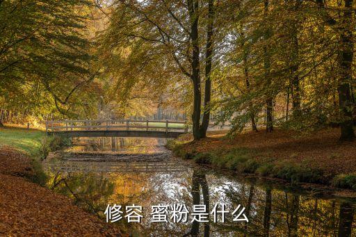 蜜粉是什么,粉餅不如粉底液遮瑕效果也比粉餅好