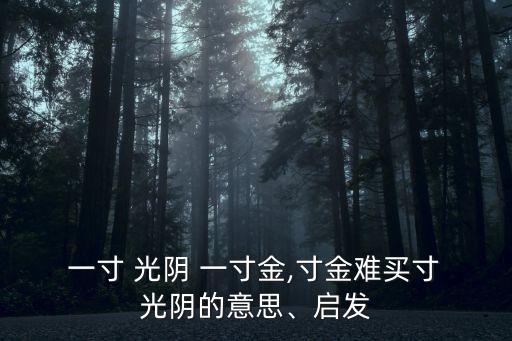 一寸光陰一寸心,一寸光陰一寸金黃金難買