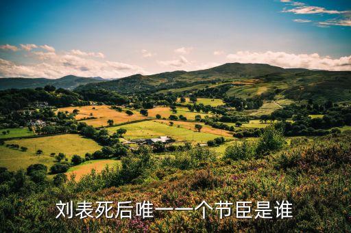 蒯越,劉備幕僚長良、越之后的下落