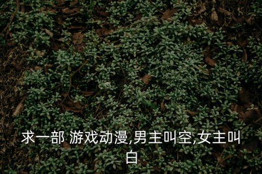 游戲人生漫畫,游戲人生故事講述網(wǎng)絡(luò)天才兄妹的故事