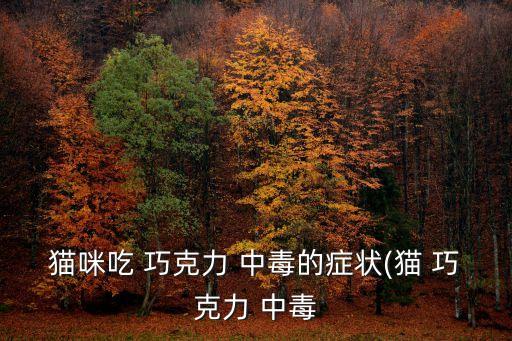 貓咪吃 巧克力 中毒的癥狀(貓 巧克力 中毒