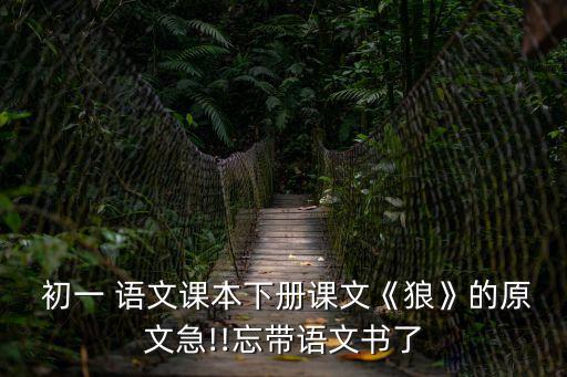 初一 語文課本下冊課文《狼》的原文急!!忘帶語文書了