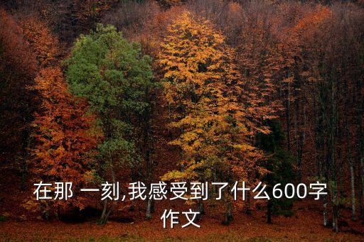 在那 一刻,我感受到了什么600字作文