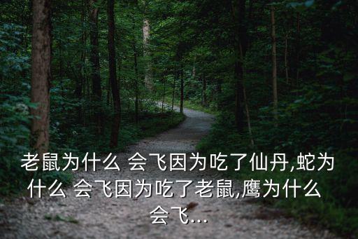 老鼠為什么 會飛因為吃了仙丹,蛇為什么 會飛因為吃了老鼠,鷹為什么 會飛...