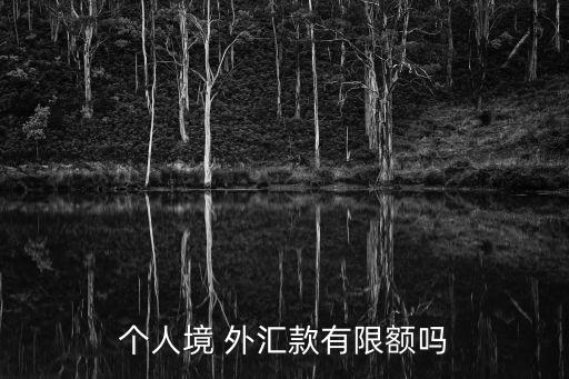個人境 外匯款有限額嗎