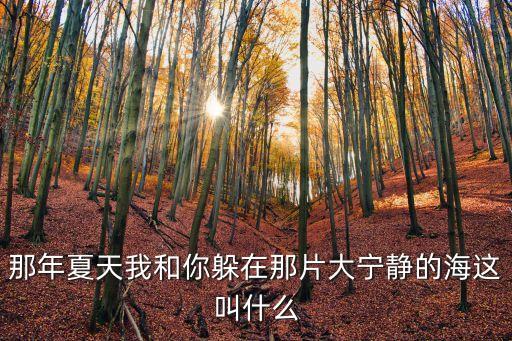 那年夏天我和你躲在那片大寧靜的海這叫什么