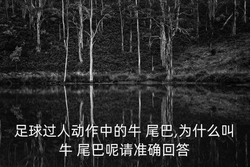 足球過人動作中的牛 尾巴,為什么叫牛 尾巴呢請準確回答