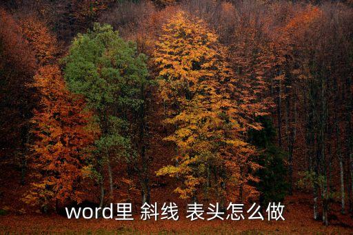 word里 斜線 表頭怎么做