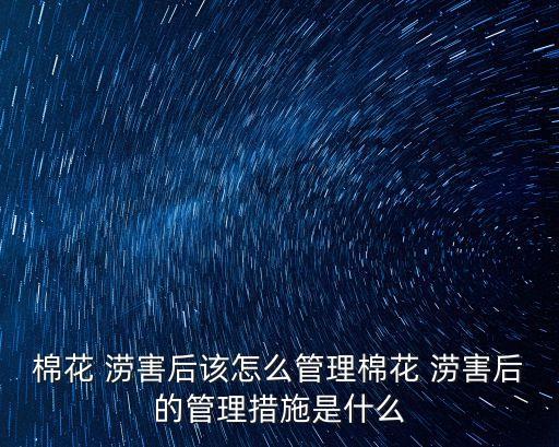 棉花 澇害后該怎么管理棉花 澇害后的管理措施是什么