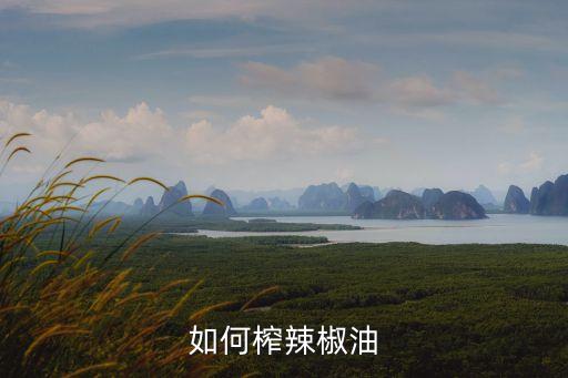 如何榨辣椒油