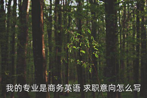 求職意向英文，什么是求職意向 個人求職意向怎么寫