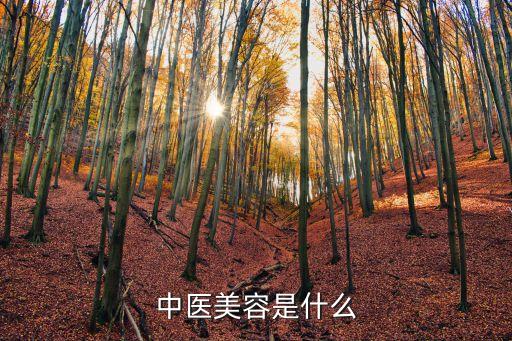 中醫美容，中醫美容的方法