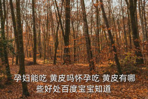 孕婦能吃黃皮果嗎