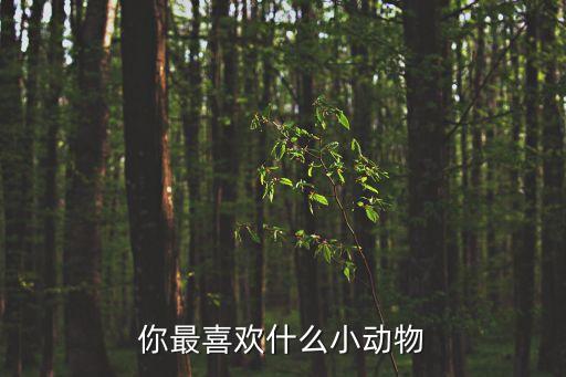 你最喜歡什么小動(dòng)物