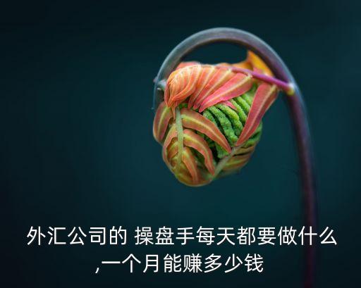  外匯公司的 操盤手每天都要做什么,一個(gè)月能賺多少錢