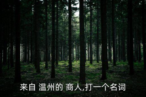 溫州商人,溫州商人:不需要商人需要的是商業(yè)和商業(yè)文化