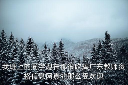 我班上的同學現在都很吹捧廣東教師資格信息網真的那么受歡迎