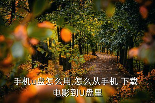手機u盤怎么用,怎么從手機 下載 電影到U盤里