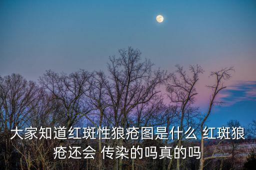 大家知道紅斑性狼瘡圖是什么 紅斑狼瘡還會 傳染的嗎真的嗎