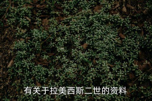 有關于拉美西斯二世的資料