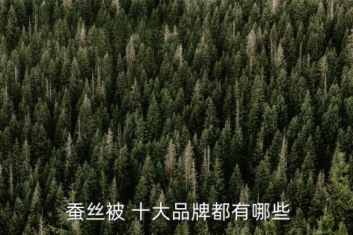  蠶絲被 十大品牌都有哪些