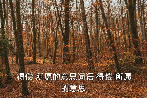 得償所愿的意思,得償所愿:如愿以償的意思