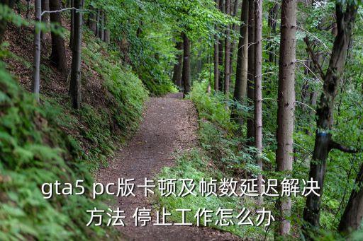 gta5 pc版卡頓及幀數延遲解決方法 停止工作怎么辦
