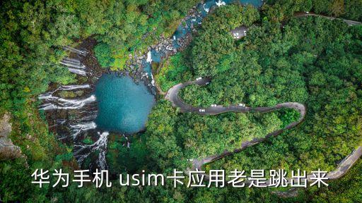 usim卡應用,sim卡應用如何復用?