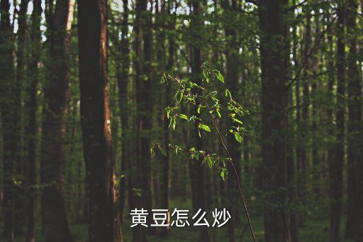 黃豆怎么炒