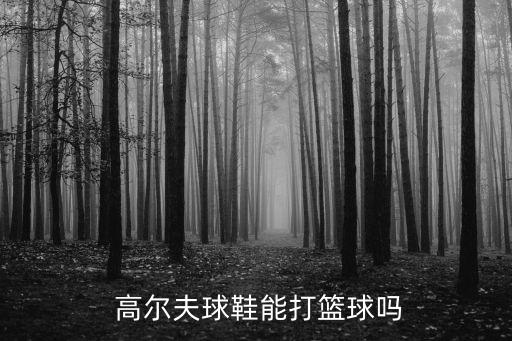  高爾夫球鞋能打籃球嗎