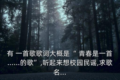 有 一首歌歌詞大概是“ 青春是一首……的歌”,聽起來想校園民謠,求歌名...