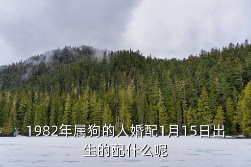 82年屬狗的屬相婚配表，1982年屬狗配什么生肖