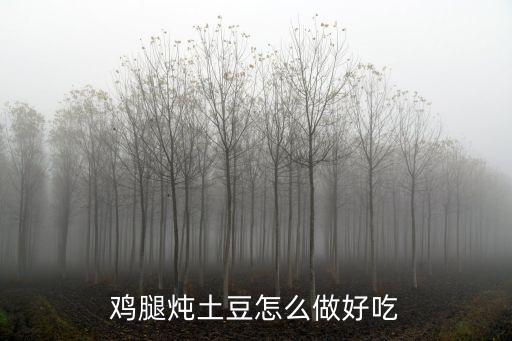雞腿燉土豆怎么做好吃