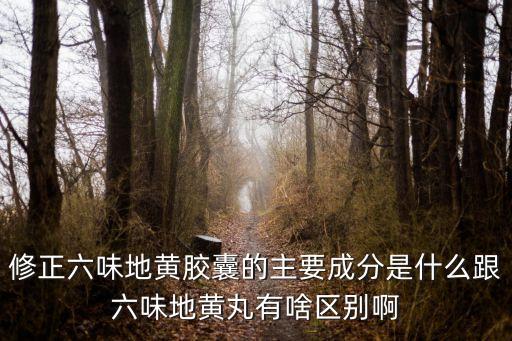 修正六味地黃膠囊，l修正六味地黃