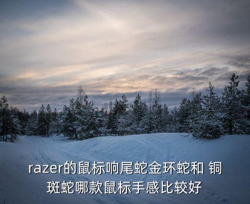 銅斑蛇,美國(guó)亞利桑那州蛇領(lǐng)地蛇王為王有何神秘?