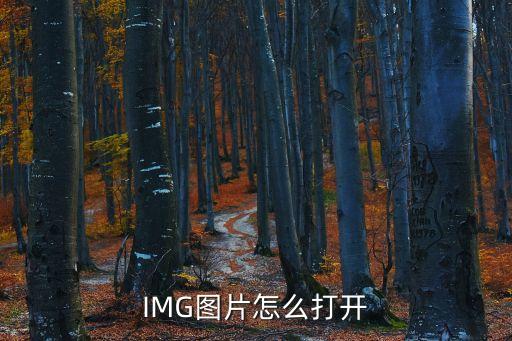 理想圖片，求有關理想的素材