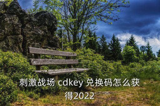 cdkey兌換,在游戲終端輸入cdk兌換code即可領取