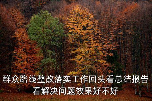 群眾工作總結，群眾路線整改落實工作回頭看總結報告看解決問題效果好不好