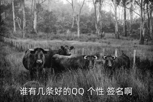 好的個性簽名,男子如何走出人生軌跡