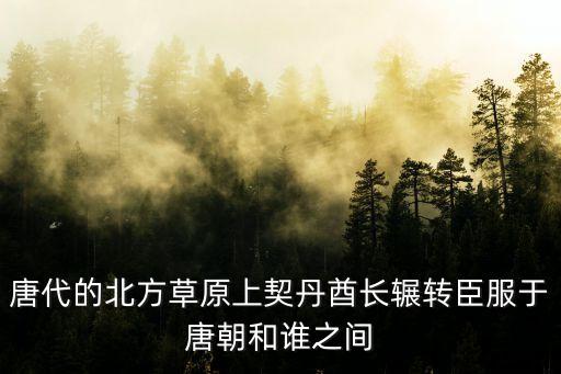突厥汗國，唐代的北方草原上契丹酋長輾轉臣服于唐朝和誰之間