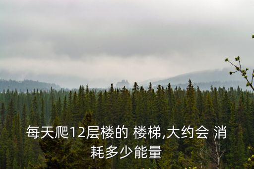 每天爬12層樓的 樓梯,大約會(huì) 消耗多少能量