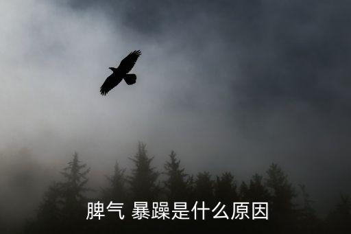  脾氣 暴躁是什么原因