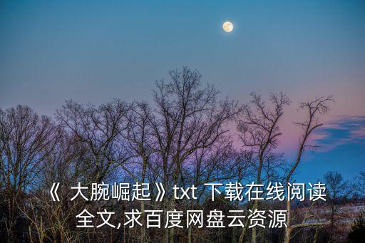 《 大腕崛起》txt 下載在線閱讀全文,求百度網盤云資源