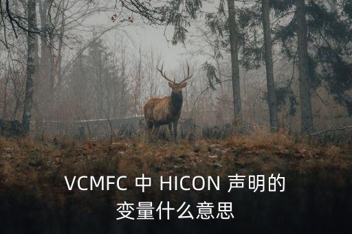 VCMFC 中 HICON 聲明的變量什么意思