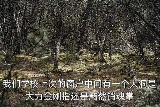 大力金剛指，大力金剛指是哪個指頭